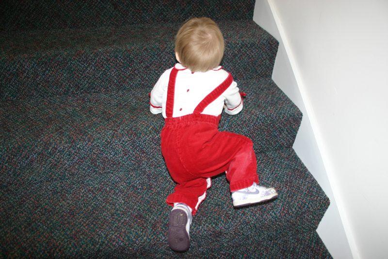 Picture 2647
