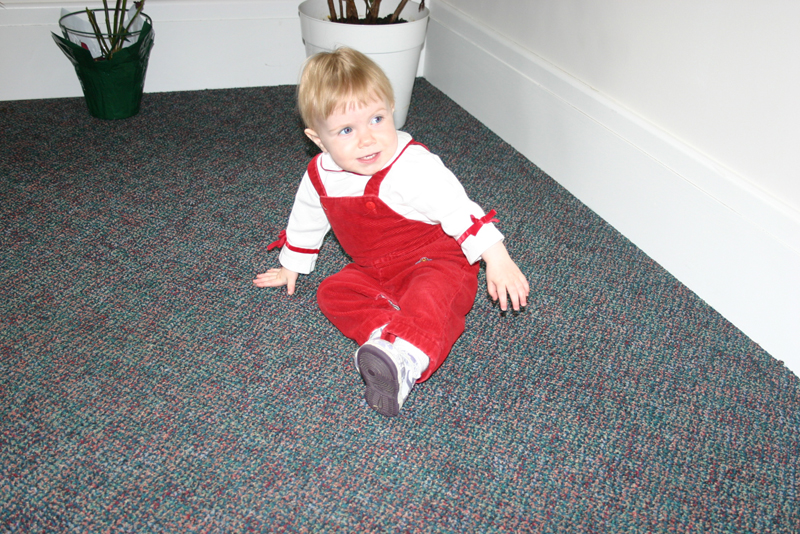 Picture 2651