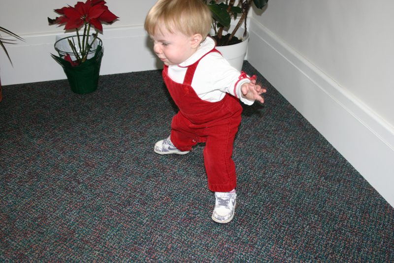 Picture 2652
