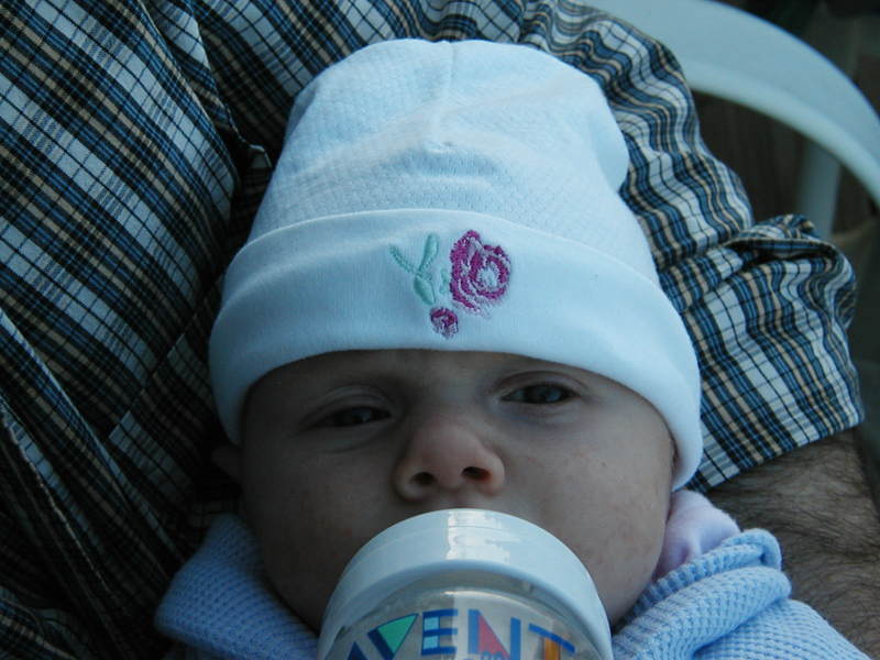 Picture 368
