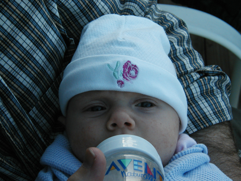 Picture 374