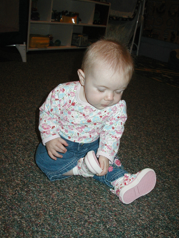 Picture 442