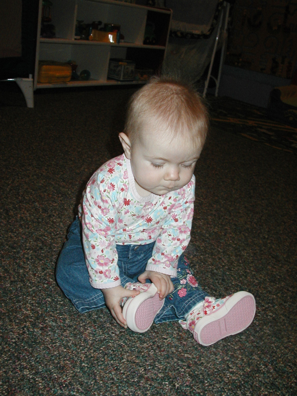 Picture 443