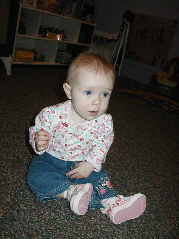 Picture 445