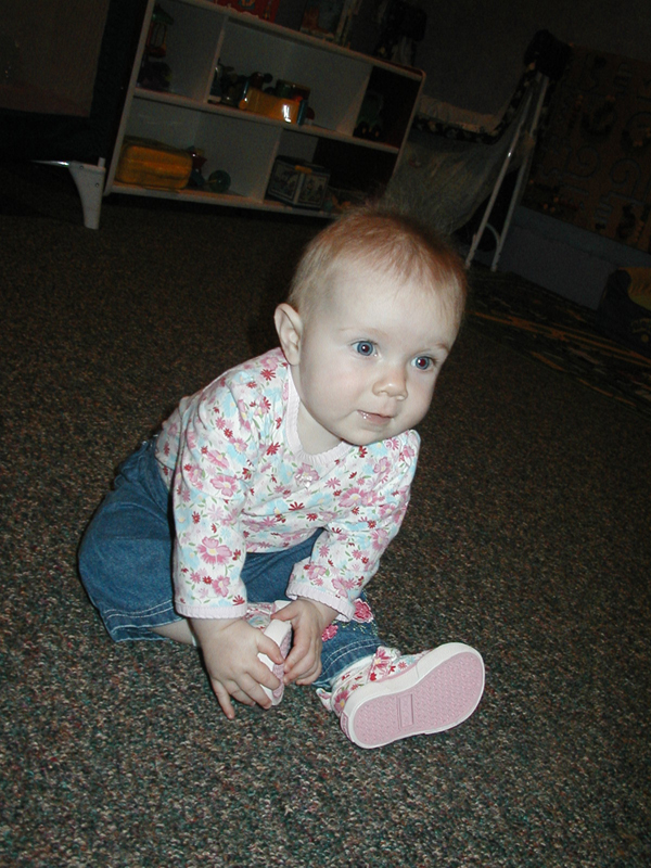 Picture 448