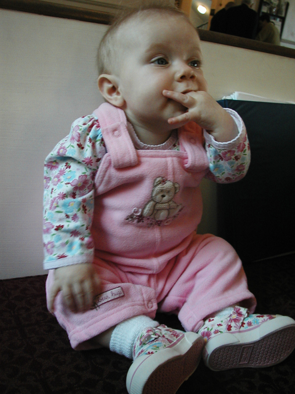 Picture 499