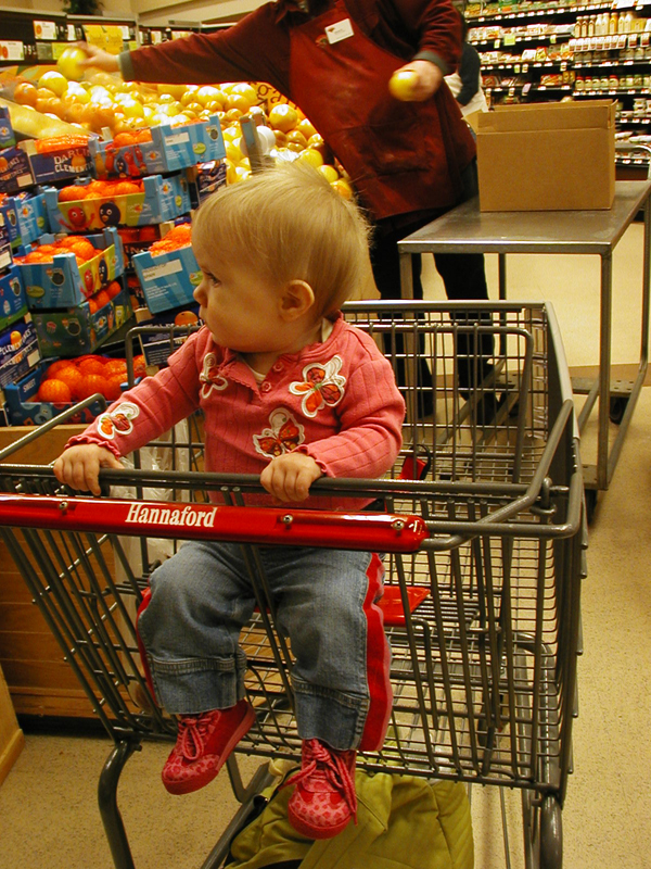 Picture 023