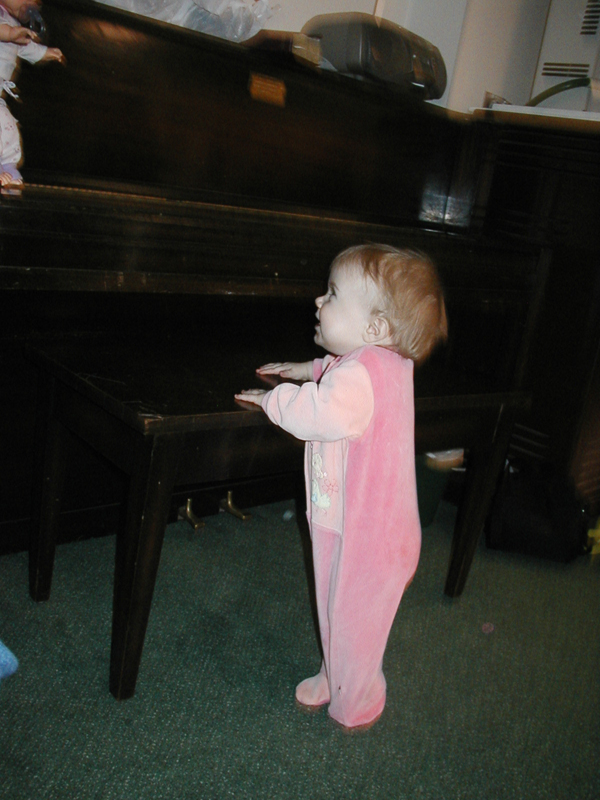 Picture 1463