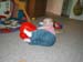 Picture 1587