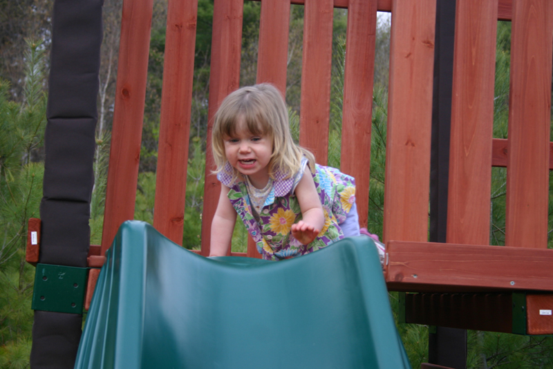 Picture 11637