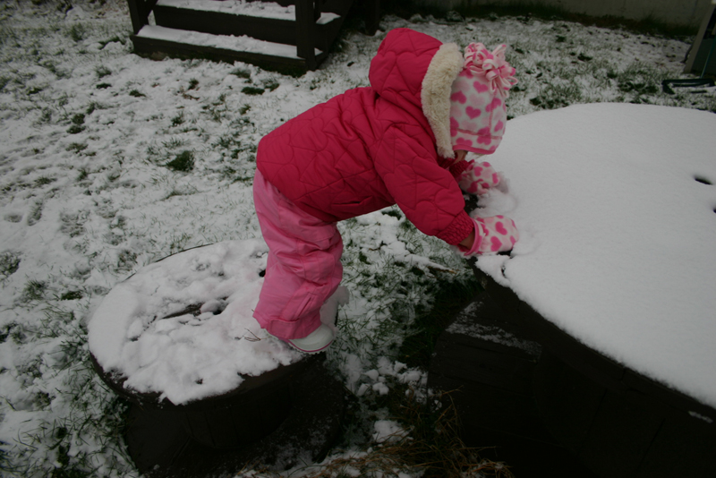 Picture 8505