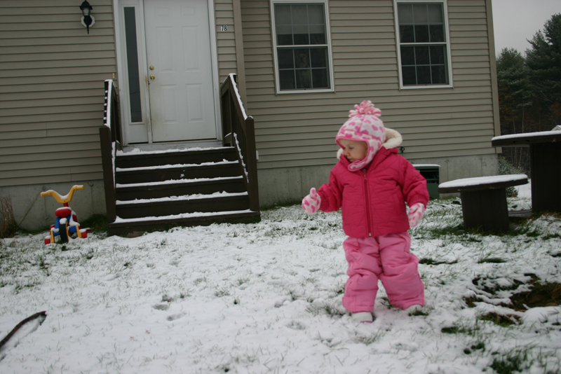 Picture 8521