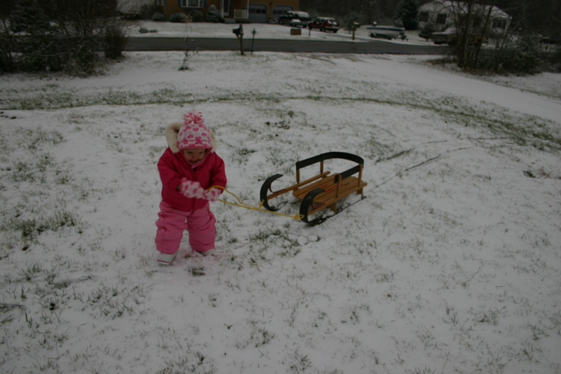 Picture 8552
