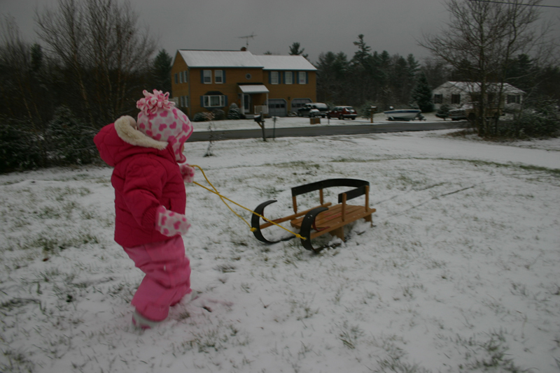 Picture 8553
