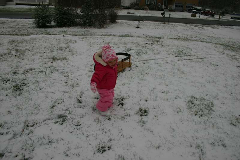 Picture 8555