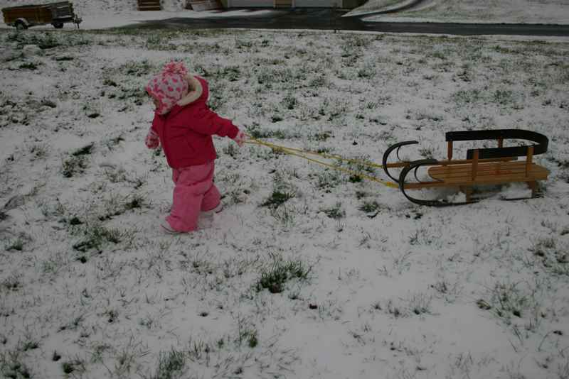 Picture 8559