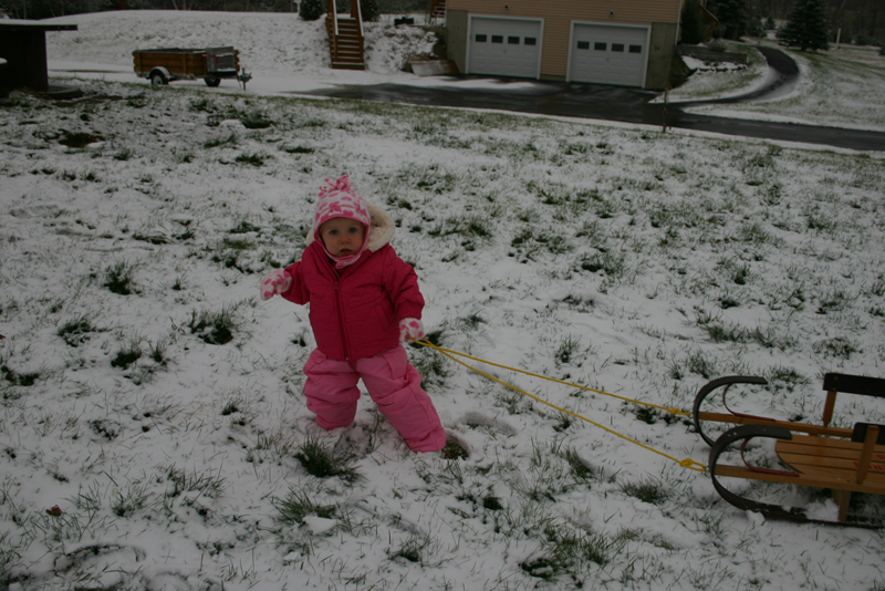 Picture 8560