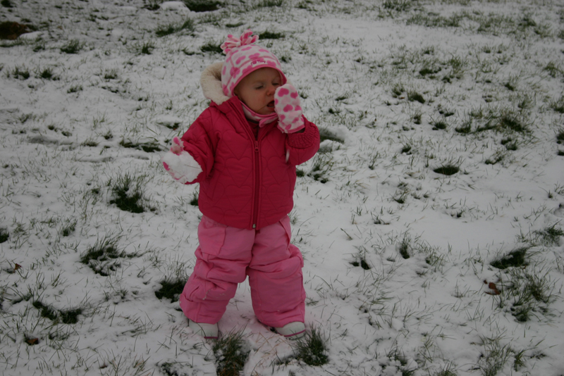 Picture 8571