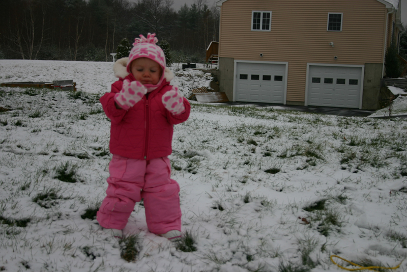 Picture 8576