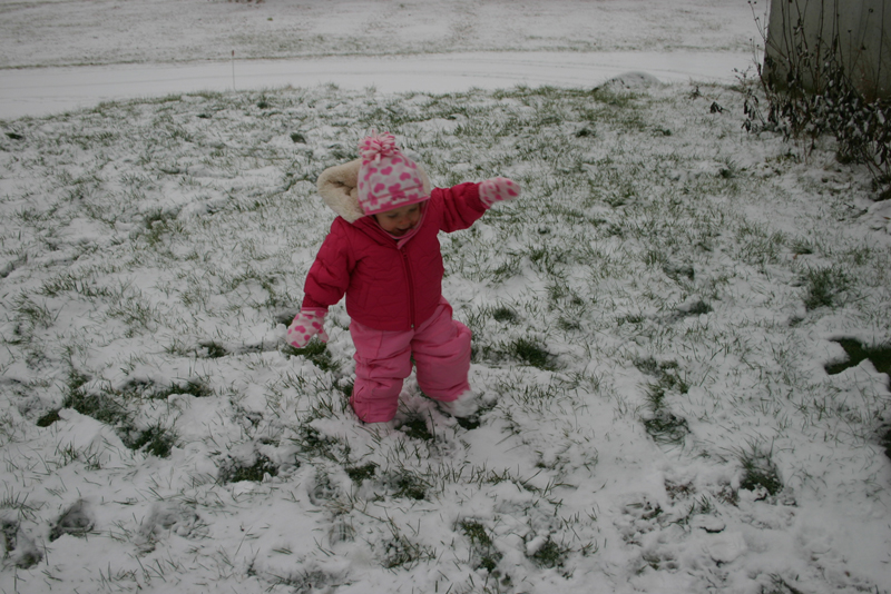 Picture 8600