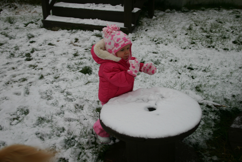 Picture 8603