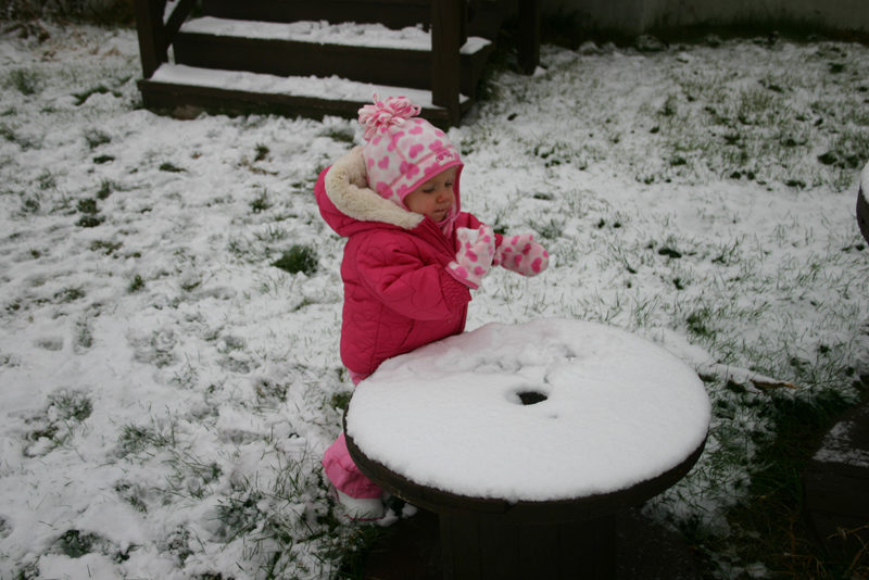 Picture 8604