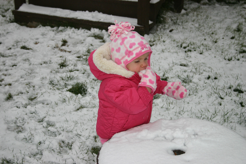 Picture 8605
