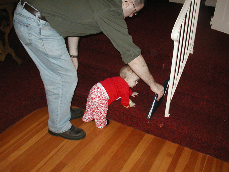 Picture 061