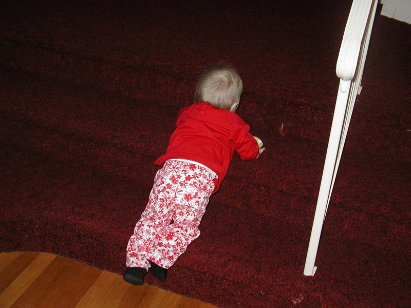 Picture 062