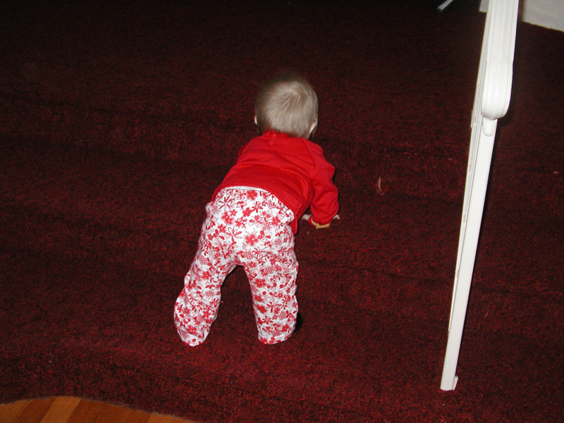 Picture 063