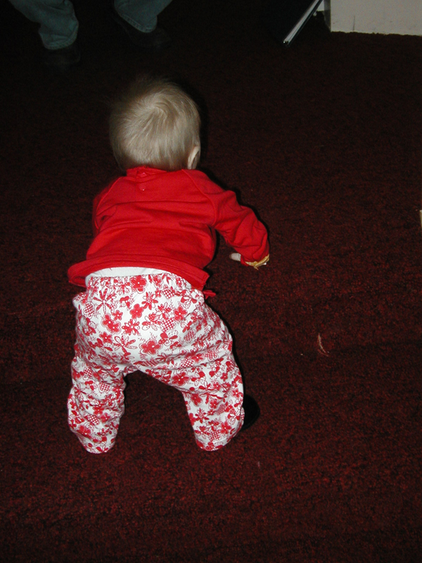 Picture 065