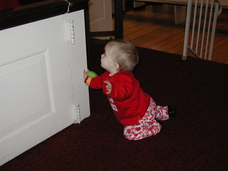 Picture 069