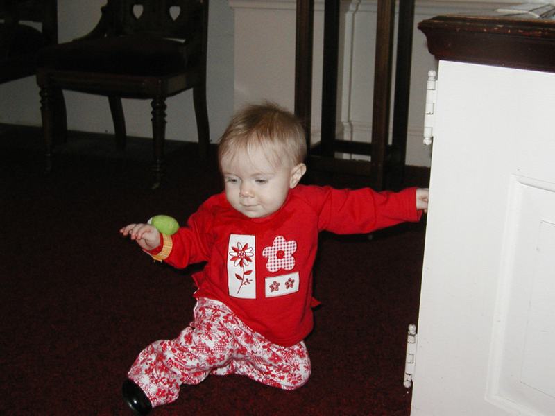 Picture 070