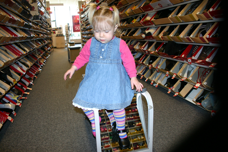 Picture 8446