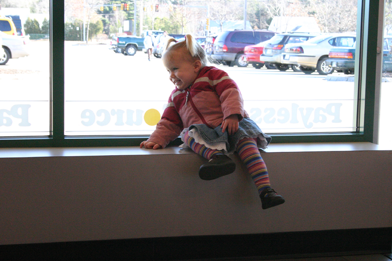 Picture 8466