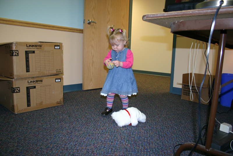 Picture 8615