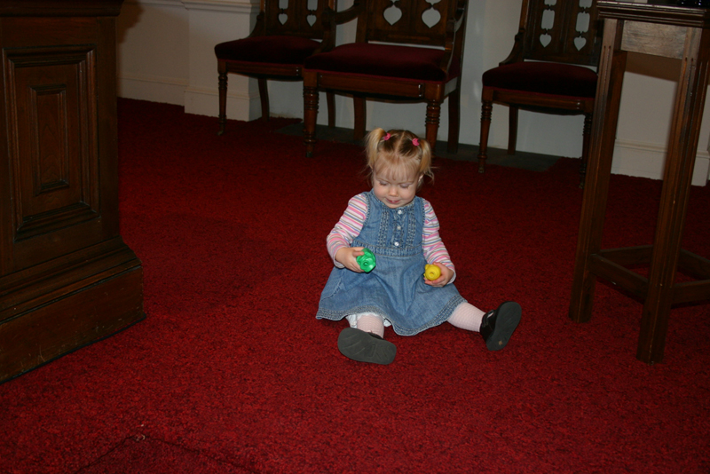 Picture 8339