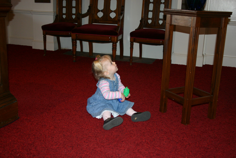 Picture 8340