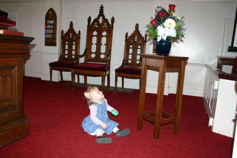 Picture 8341