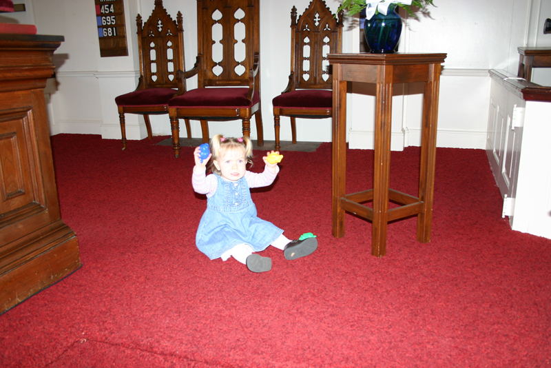Picture 8342
