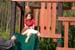 Picture 11752