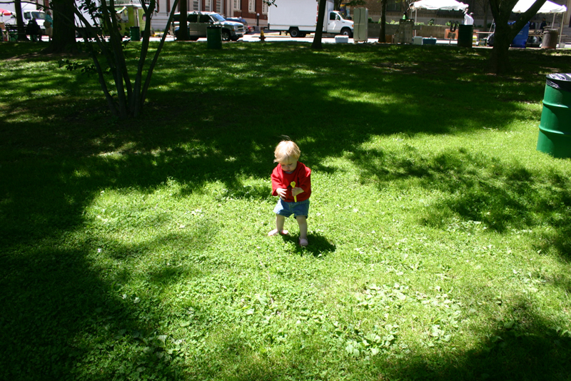 Picture 3982