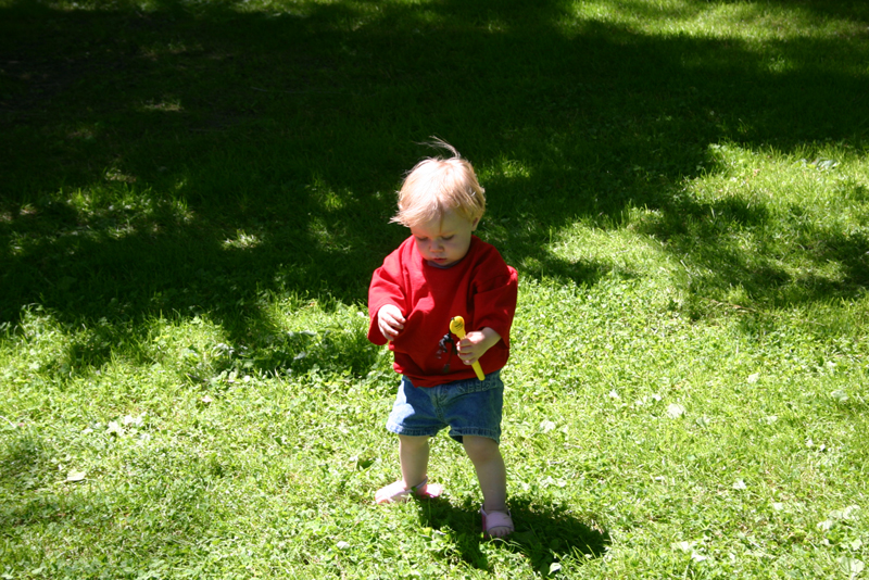 Picture 3983