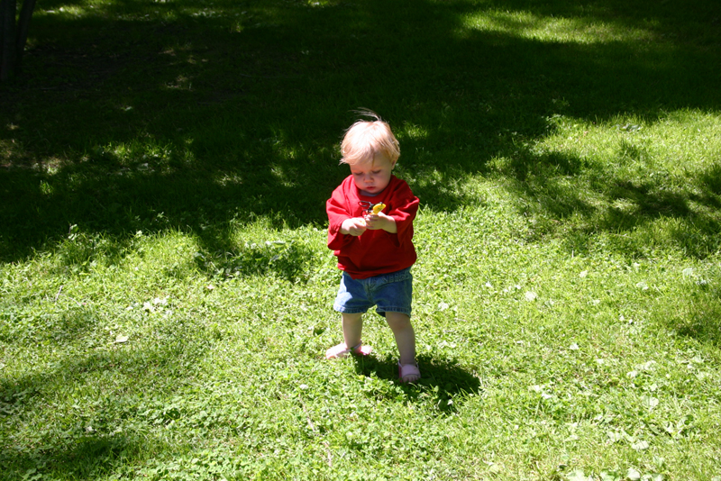 Picture 3984