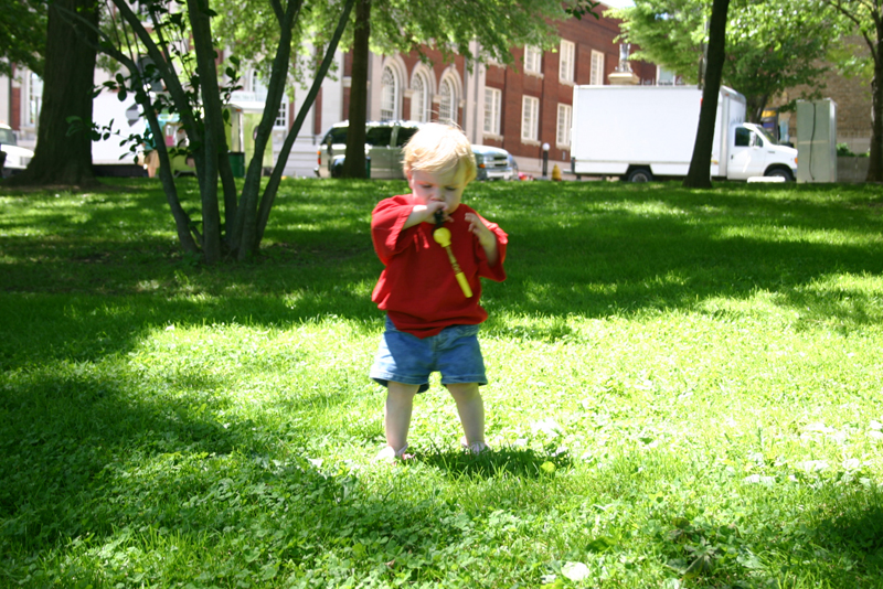 Picture 3988