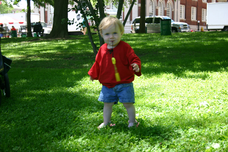 Picture 3990