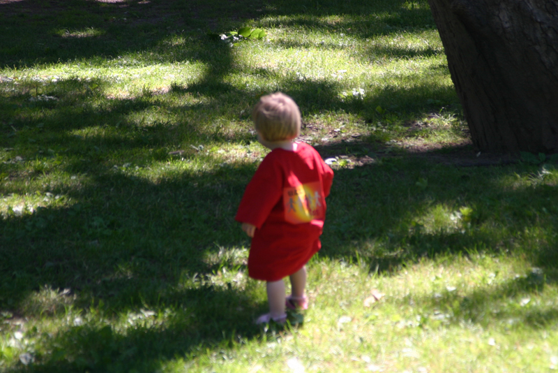Picture 4064