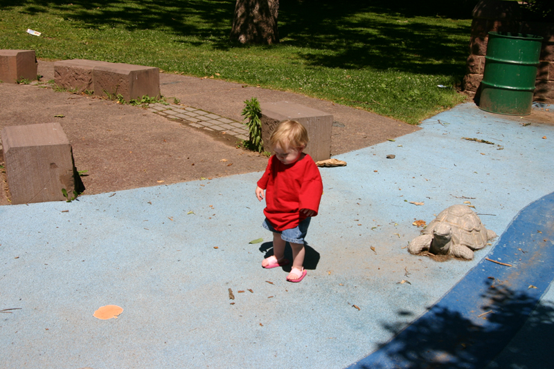 Picture 4067
