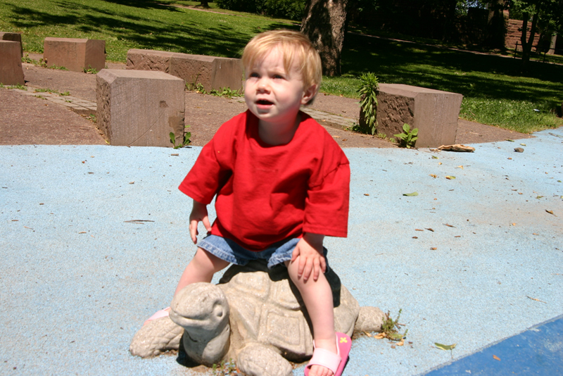Picture 4075