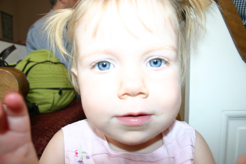 Picture 5536